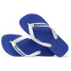 Havaianas Brasil Logo